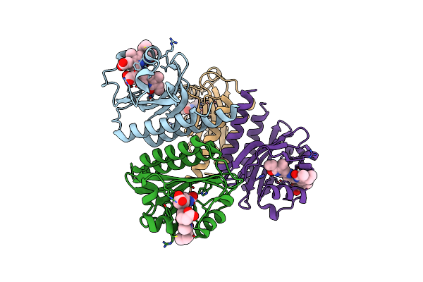 7LSD image