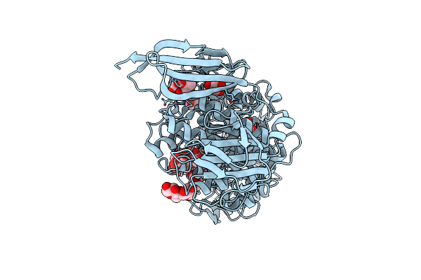 7LSR image