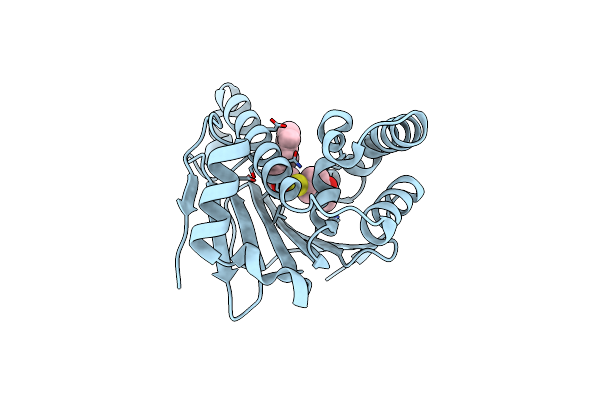 7LSZ image