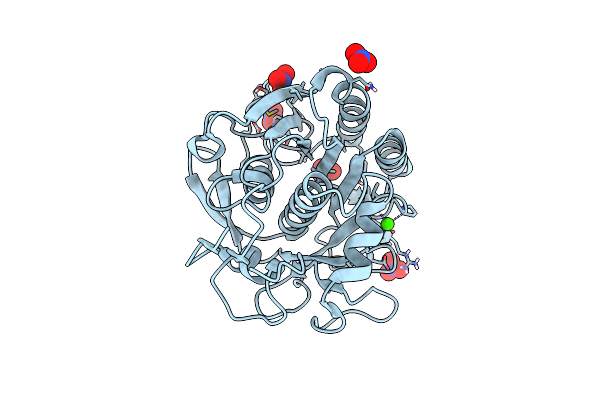 7LTD image