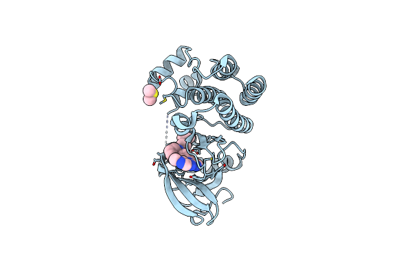7LTY image