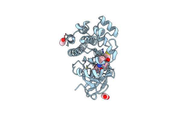 7LTZ image