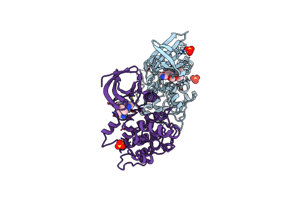 7LVI image