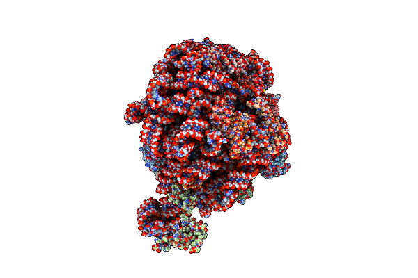 7LVK image