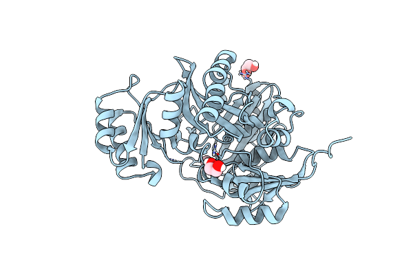 7LVO image