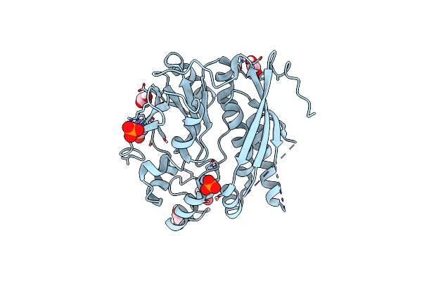 7LVP image