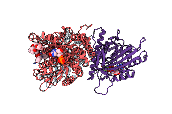7LVR image