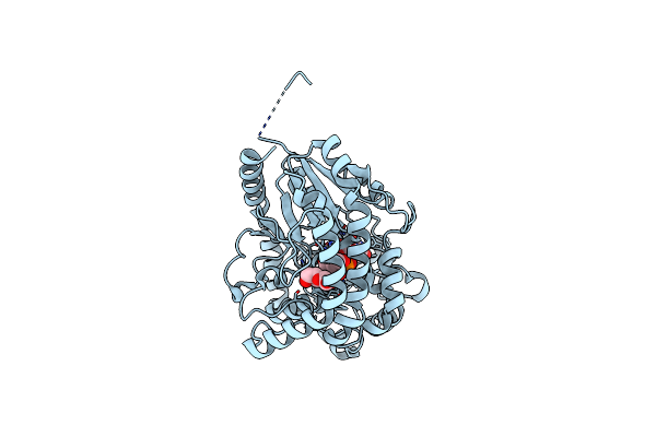 7LVY image