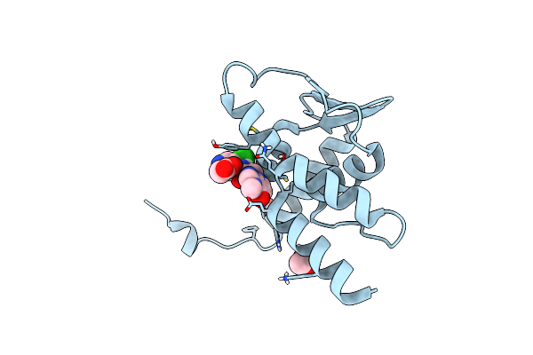 7LWE image