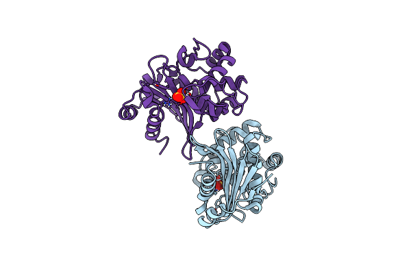 7LXG image