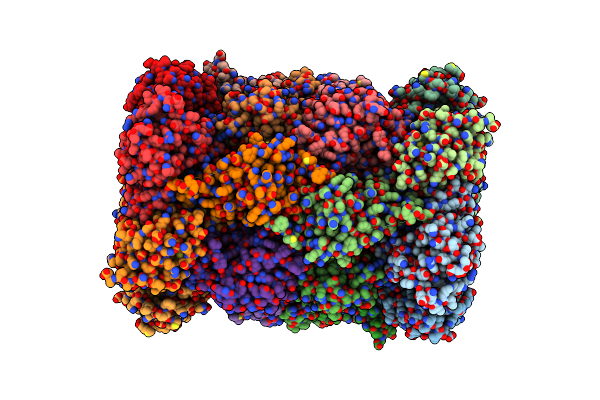 7LXT image