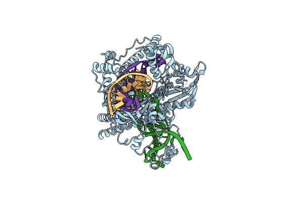 7LYS image