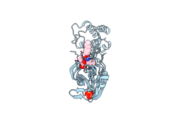 7LZT image