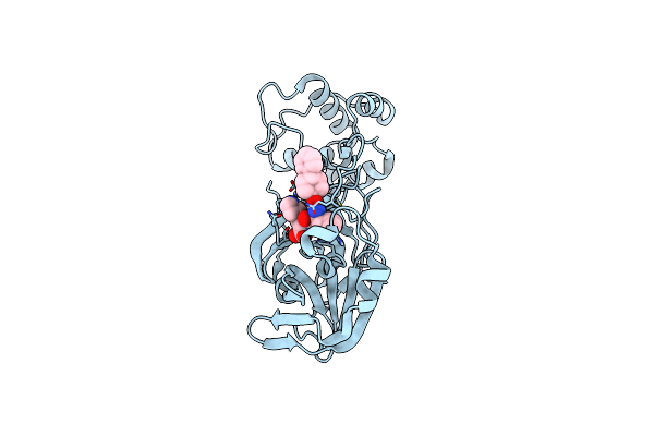 7LZZ image