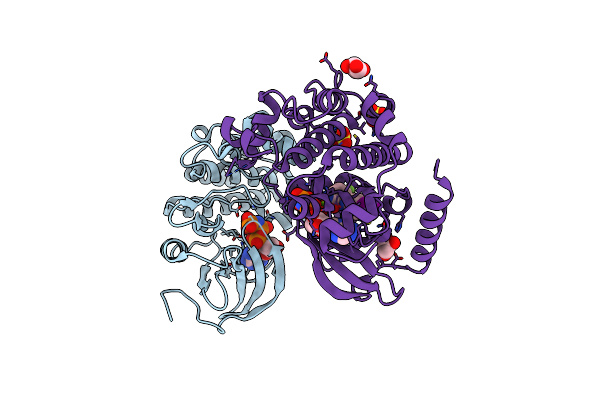 7M0X image