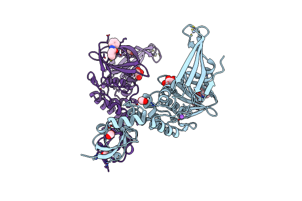7M1Y image
