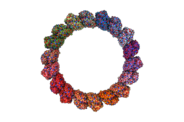 7M20 image