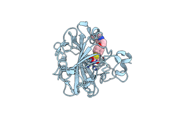 7M26 image