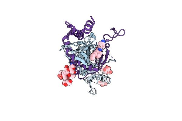 7M2D image