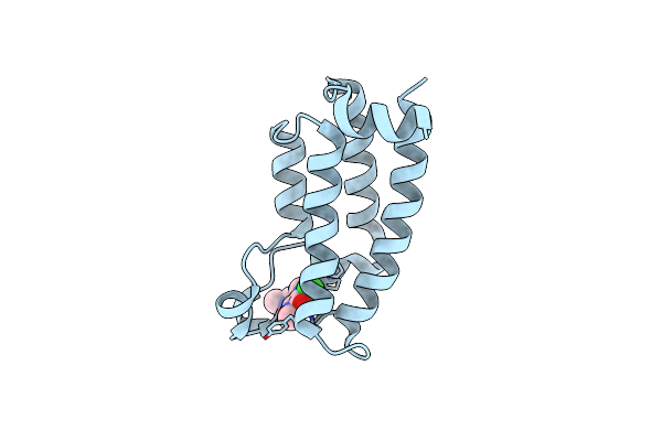 7M2E image