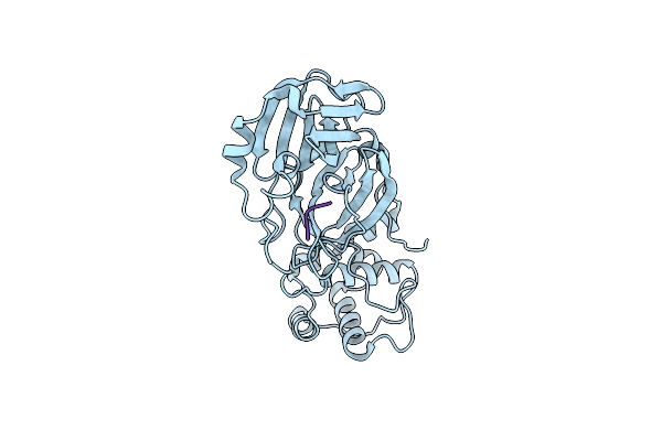 7M2P image