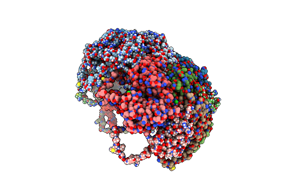 7M2V image