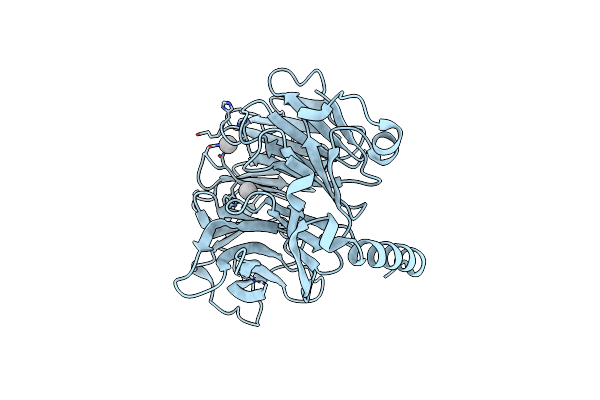 7M3X image