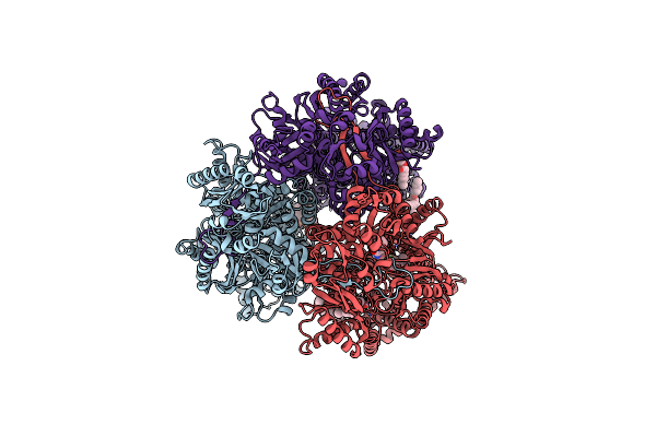7M4P image