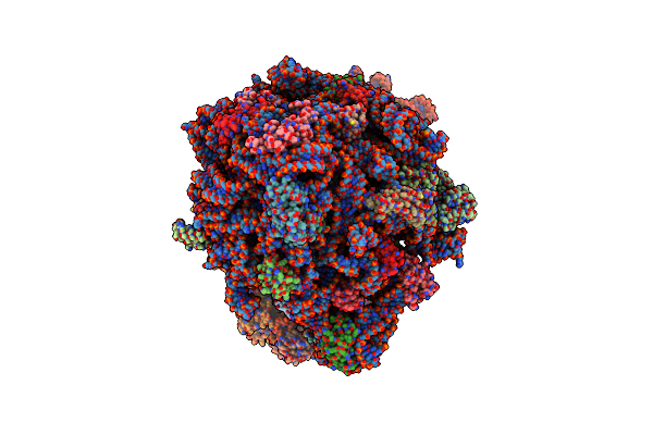7M4W image