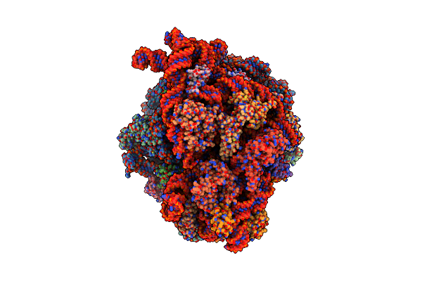 7M4X image