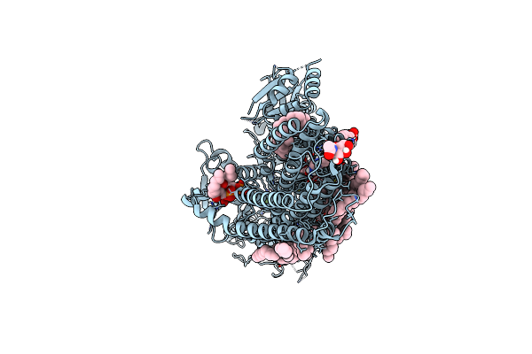 7M5Y image