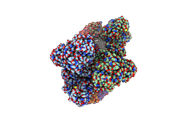 7M7G image