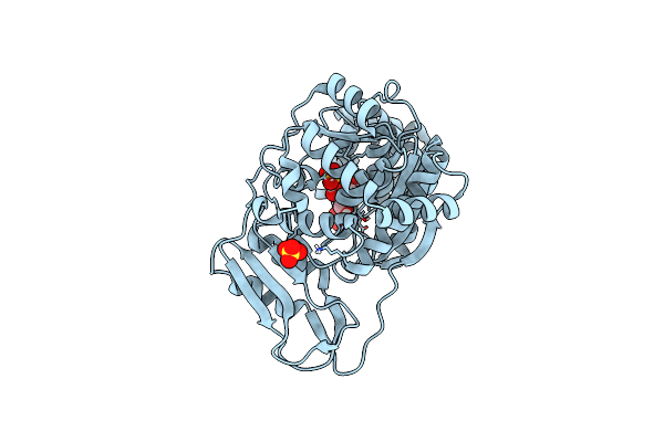 7M7K image