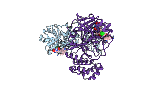 7M8N image
