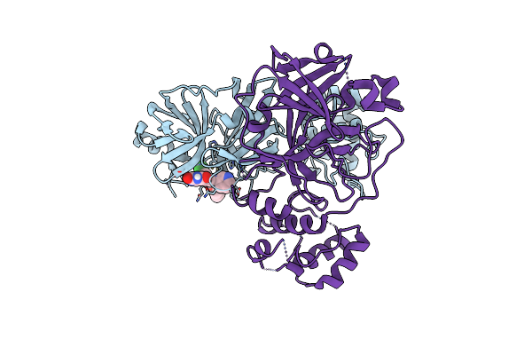 7M8O image