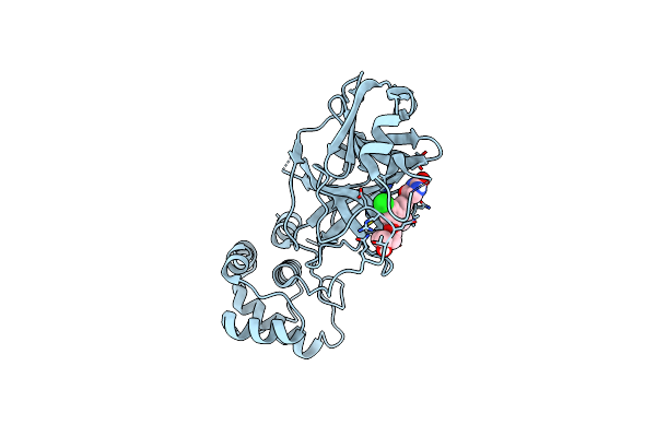 7M8Z image