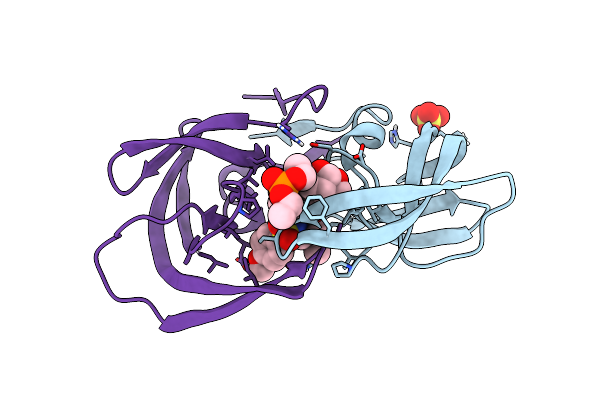 7MAF image