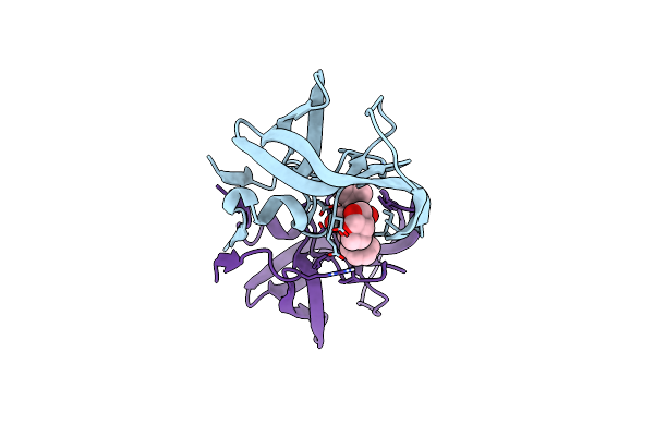 7MAP image