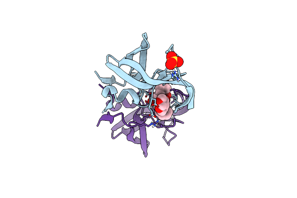 7MAQ image