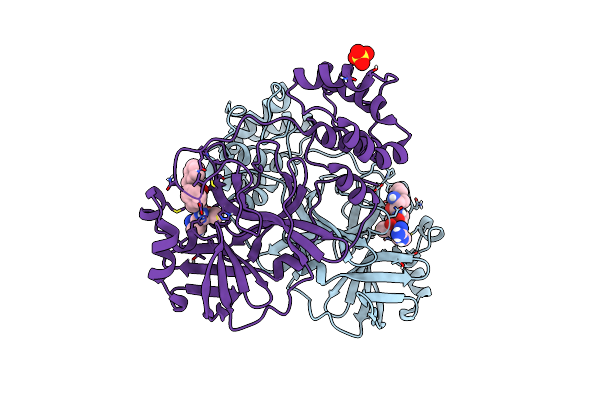 7MAT image