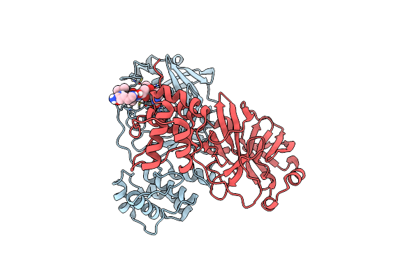 7MB6 image