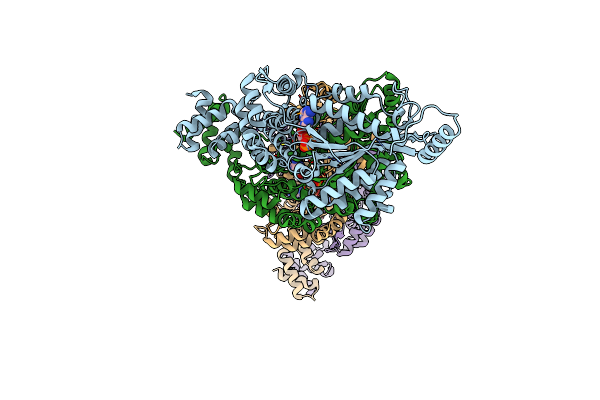 7MBW image