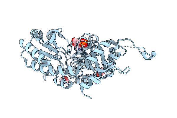 7MCL image