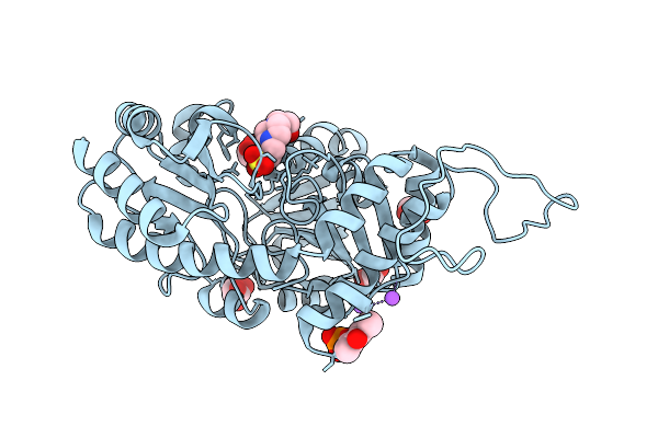 7MCN image