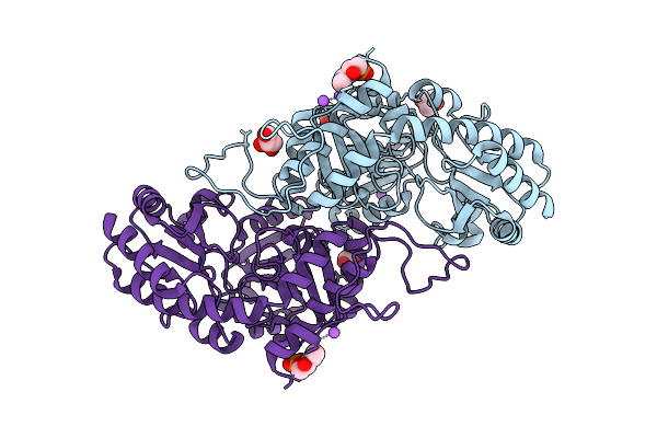 7MCP image