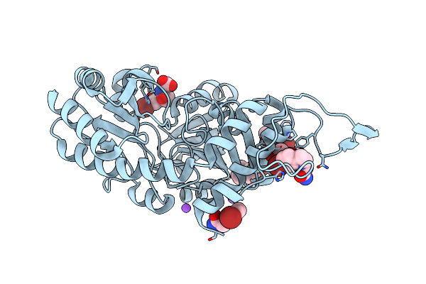 7MD6 image
