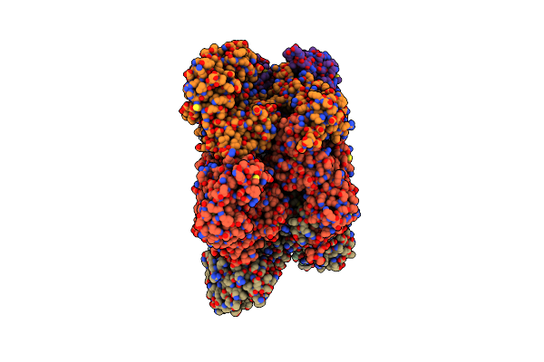 7MDM image