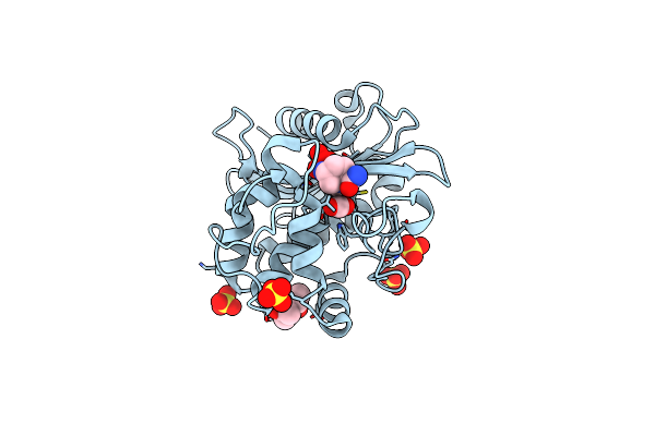 7MEB image