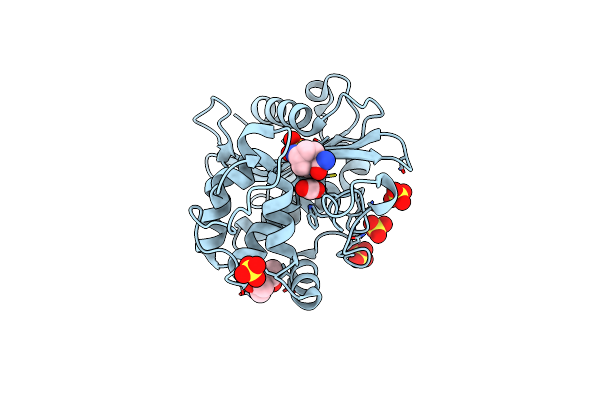 7MEF image
