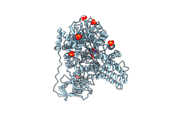 7MFL image
